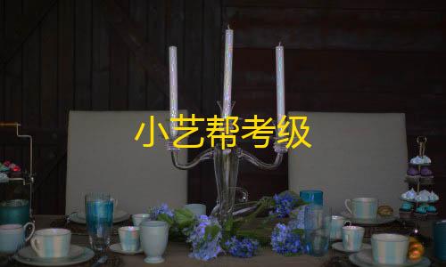 公益直装17.0免费小艺帮考级